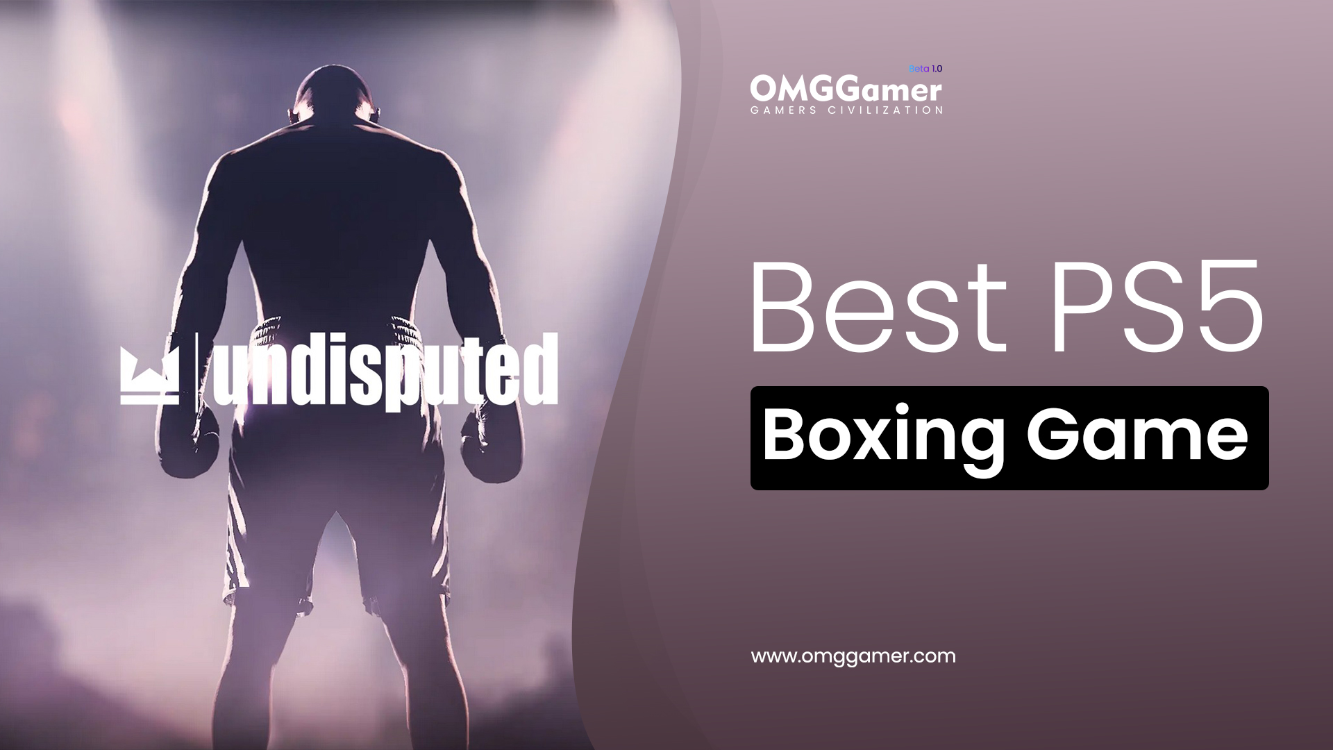 9 Best PS5 Boxing Game in 2024 [Gamers Choice]