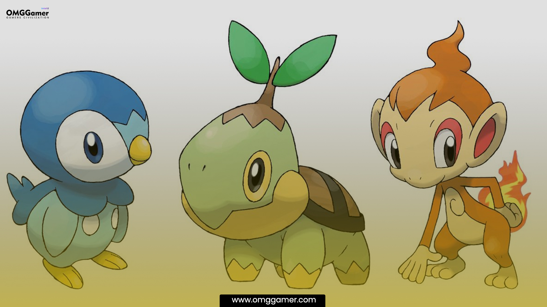 Chimchar,-Piplup,-Turtwig