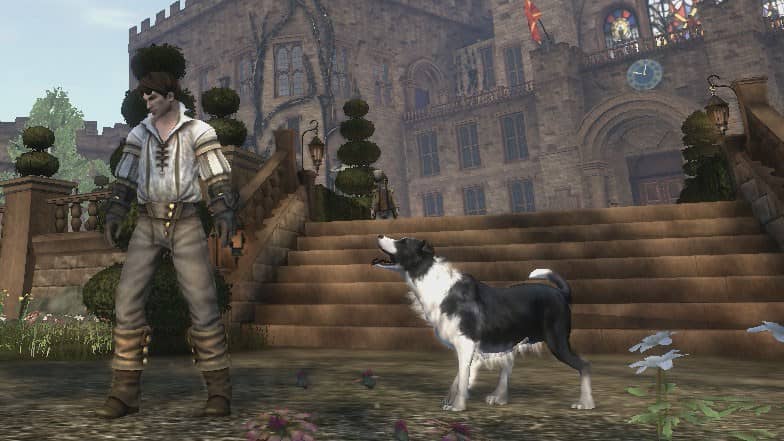 Doggos: Fable 4 Expectations