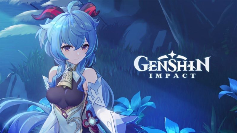 Genshin Impact Switch Release Date 2024 [Revealing Soon]