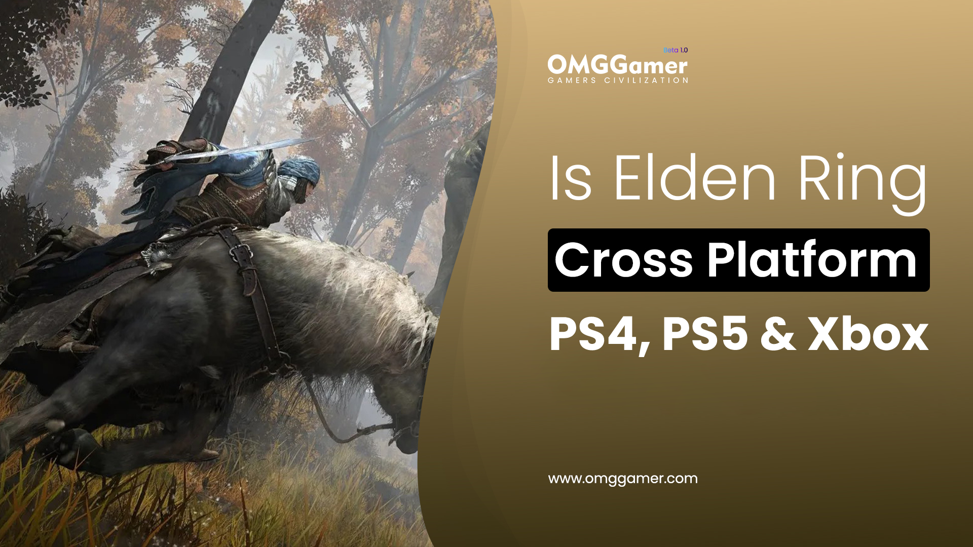 Is Elden Ring Cross Platform in 2024 [PC, Xbox, PS4, PS5]