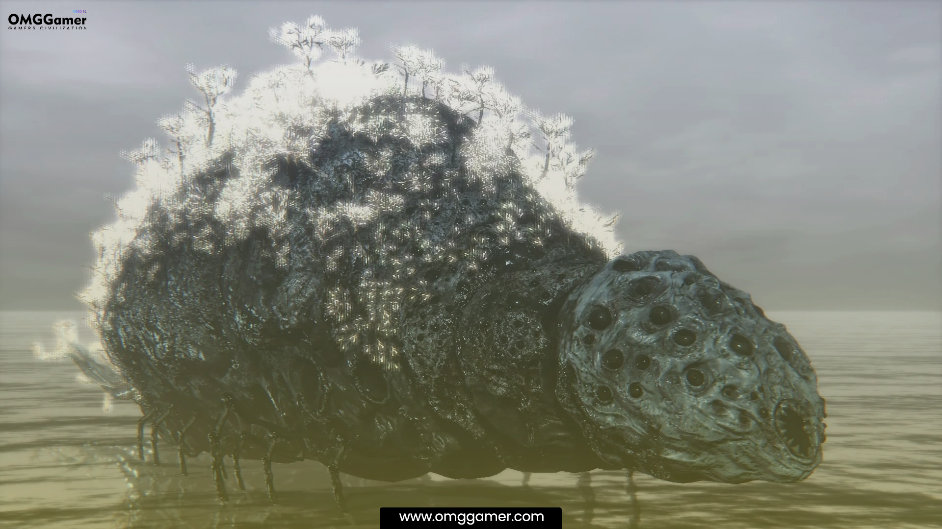 Rom The Vacuous Spider: Bloodborne Bosses