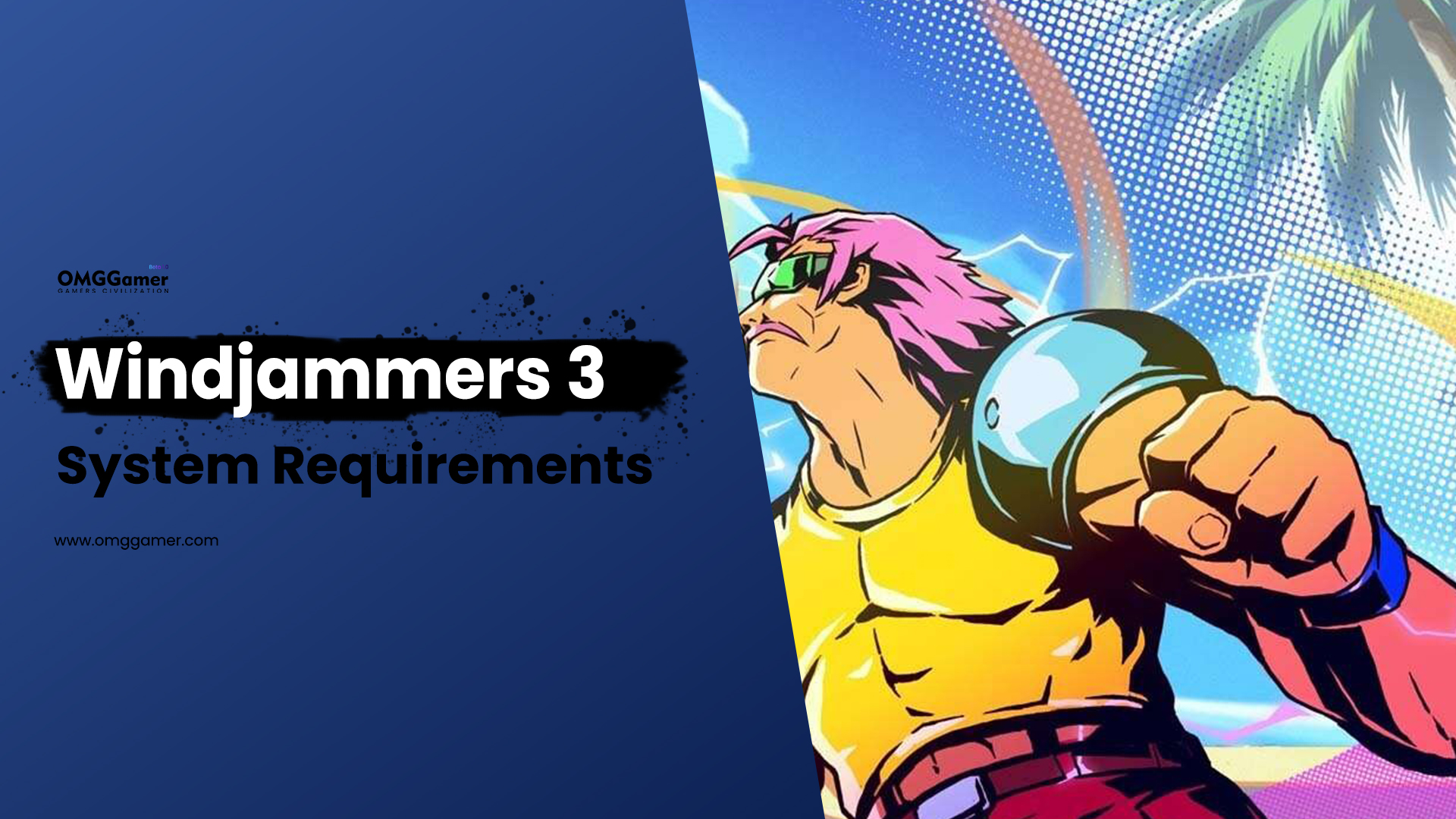 Windjammers 3 System Requirements